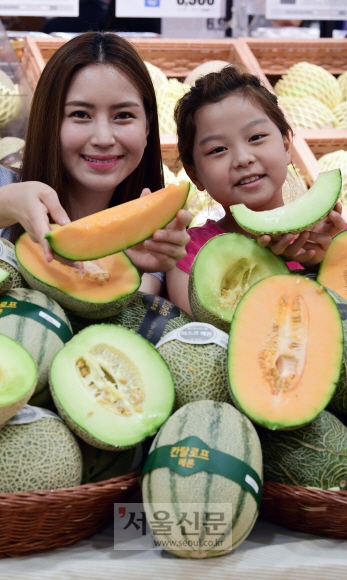 “3색 멜론 맛 보세요” 