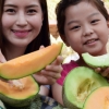 “3색 멜론 맛 보세요”