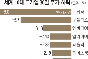 세계 경제 ‘팡의 공포’ 오나