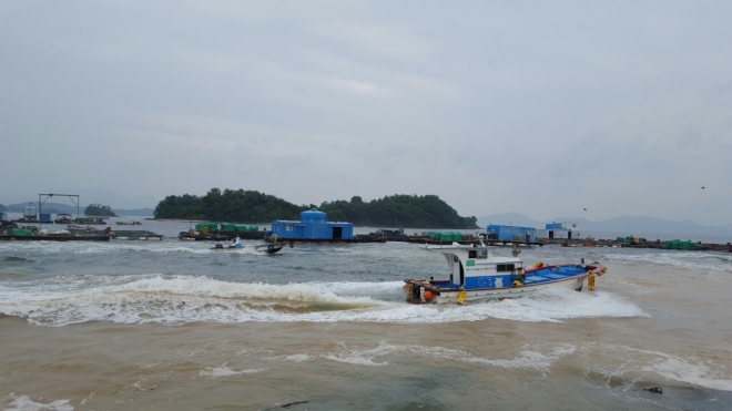 적조해역에서 황토를 뿌리며 적조방제작업을 하고 있는 방제선단