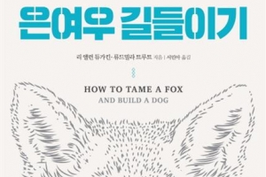 [김초엽 작가의 과학을 펼치다] 개보다 친근한, 여우를 키워볼까