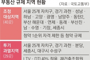 국토부 “서울 집값 불안 재현 땐 투기지역 추가 지정 검토”