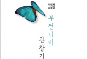 [책꽂이]부전나비 관찰기, 마취, 한밤의 미술관, 이순신 여행, 인생 조각