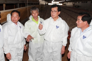 충북, 폭염 폐사 가축 35만마리 넘어설 듯