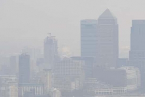 [달콤한 사이언스] 대기오염이 심장 형태까지 바꾼다고?