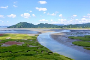 北 ‘순천’ 향해 손 흔드는 순천시…남북 생태교류 나선다