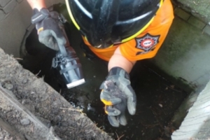 탯줄 달린 새끼고양이 4마리 배수로에서 구조돼