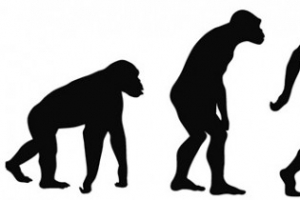 [이한용의 구석기 통신] 현생 인류는  더위에 어떻게 적응해 왔나!