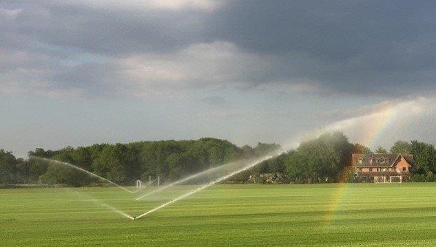 영국 브렌트포드 축구 클럽의 경기장에 하이브리드 잔디를 설치한 다음 스프링클러로 살수하는 모습.GSTG 제공