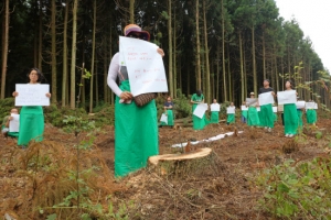 “제주 비자림로 지키자”… 삼나무가 된 시민들