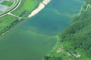 폭염으로 심해진 녹조, 적조 ‘드론’으로 감시한다