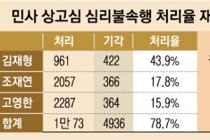 [어떻게 사법이 그래요] 한 사람이 3801건 ‘소송 폭탄’… 심불 처리율 착시 불러