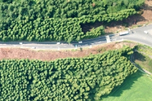 늦었지만… 비자림로 삼나무숲 ‘공존의 길’이 보입니까