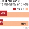 BMW처럼 혹시 내 차도?…‘차량용 소화기’ 구입하는 운전자들