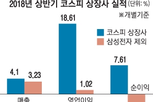 코스피 상장사 순익, 삼성전자 빼면 6.63% 후퇴