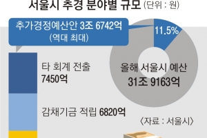 서울시 역대 최대 추경…자영업자·공공보육 집중