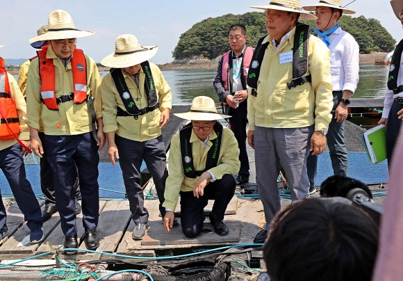 지난 2일 서산시 부석면 창리 천수만 가두리 양식장을 방문한 양승조(가운데) 충남지사. 서산 연합뉴스