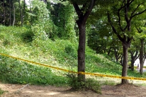 서울대공원 주차장 인근 수풀서 50대 남성 추정 토막시신 발견