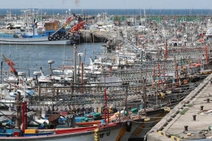 [속보] 제주 한림항 어선 3척 화재…1명 구조