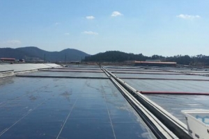 국가배상 소송에 패소한 ‘신안 염전노예’ 피해자에 소송비 감면