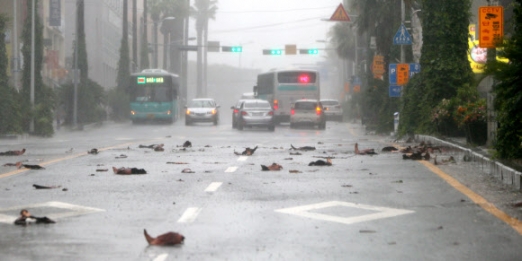 태풍에 아수라장 된 도로