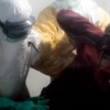 콩고는 에볼라, 중국은 돼지열병…세계 전염병 공포는 인간이 자초했나