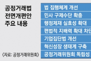 대기업 공익법인 계열사 의결권 금지…재벌 경영권 ‘꼼수 승계’ 뿌리 뽑는다