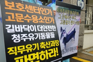 “청주시 반려동물보호센터 유기견 상습학대”…동물단체 고발