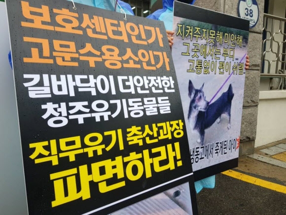 “청주시 반려동물보호센터 유기견 상습학대”…동물단체 고발
