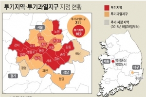 종로 등 서울 4개구 투기지역 지정…광명·하남은 투기과열지구