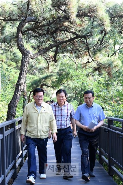 유덕열(왼쪽) 서울 동대문구청장이 지난 22일 구청 직원들과 함께 배봉산 정상부에 조성이 마무리된 공원을 찾아 최종 점검하고 있다.  도준석 기자 pado@seoul.co.kr