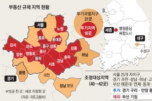 “여의도·용산, 투기지역 아니라서 올랐나”