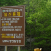 “성묫길 빠르고 안전하게”…산림도로 한시적 개방