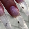 네일 아트에 살아있는 개미 사용한 네일숍 논란