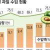 과일 수입 역대 최고… 망고·아보카도 급증