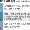 DSR 80%로 해도 가계대출 규제 실효성 적다