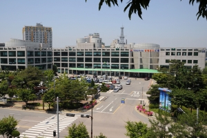 “맨손으로 고기잡고 어선 타보고 깜짝 경매체험까지” 시흥월곶으로 뱃놀이가자