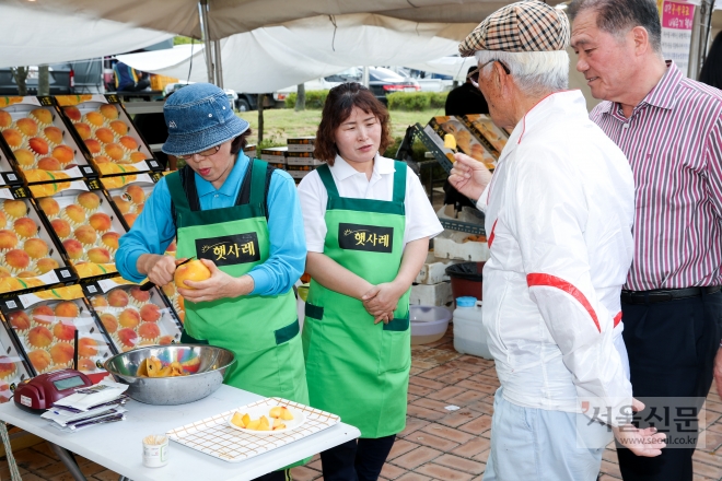 이천 장호원복숭아축제가 14일부터 16일까지 3일간 장호원에서 열린다.이번 복숭아축제는 볼거리와 즐길거리가 더 풍부해졌다.사진은 지난해 축제 모습.        (이천시 제공) 