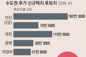 과천·안산·의정부 등 신규 택지 8곳 검토