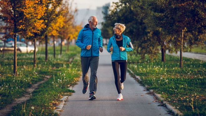 규칙적 운동이 노년층 신체건강과 뇌건강에 도움을 준다고 알려져 있다. 그렇지만 그 정확한 메커니즘은 여전히 수수께끼로 남아있다. 사이언스 제공