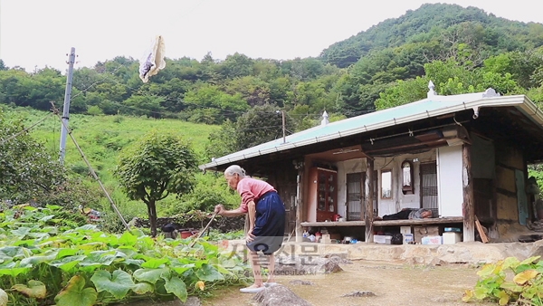 영화 ‘나부야 나부야’ 한 장면.