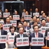 [서울포토] 한국당, 판문점 선언 일방적 국회 비준 반대 피켓 시위