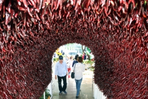 핫 터널… 가을 속으로