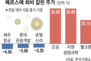 주식시장에 ‘메르스 희비’