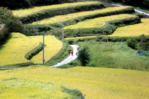 가을이 익어갑니다