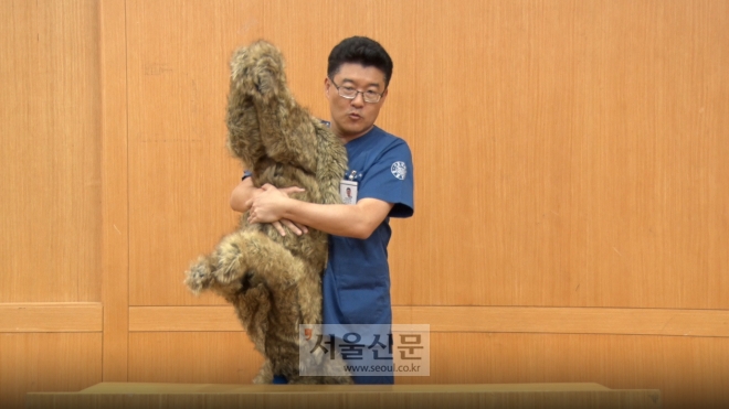 김민수 교수가 반려동물의 입안 혹은 기도에 이물질이 걸렸을 때 제거하는 응급처치법(하임리히법)을 설명하고 있는 모습