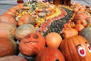 알록달록 호박 다 모였네