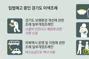 스몸비 예방·따복택시…실감나는 경기도 조례
