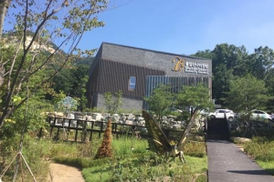 ‘나비천국’ 된 불암산 사계절 동심 속으로