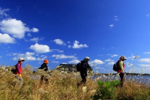 제주도 올레! 가을에 올래?